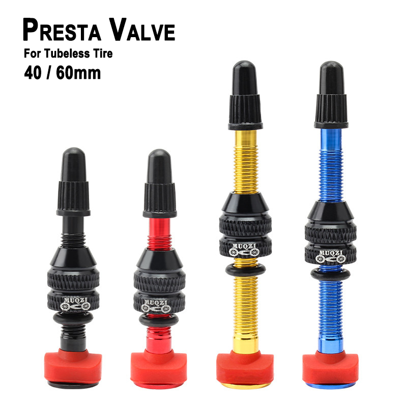 Mountain Biking In French - Pneumatico tubeless con valvola Presta per