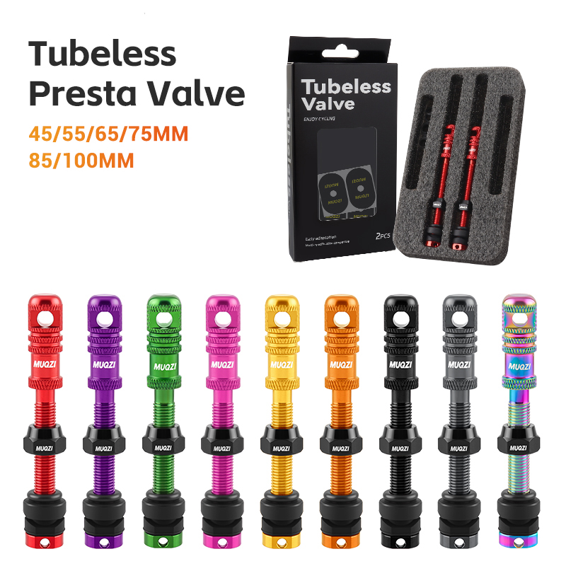Mountain Biking In French - Valvola Presta Tubeless per bici in