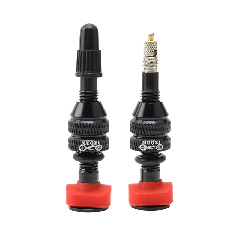 Pneumatico tubeless con valvol - Mountain Biking In French recensione e prezzo