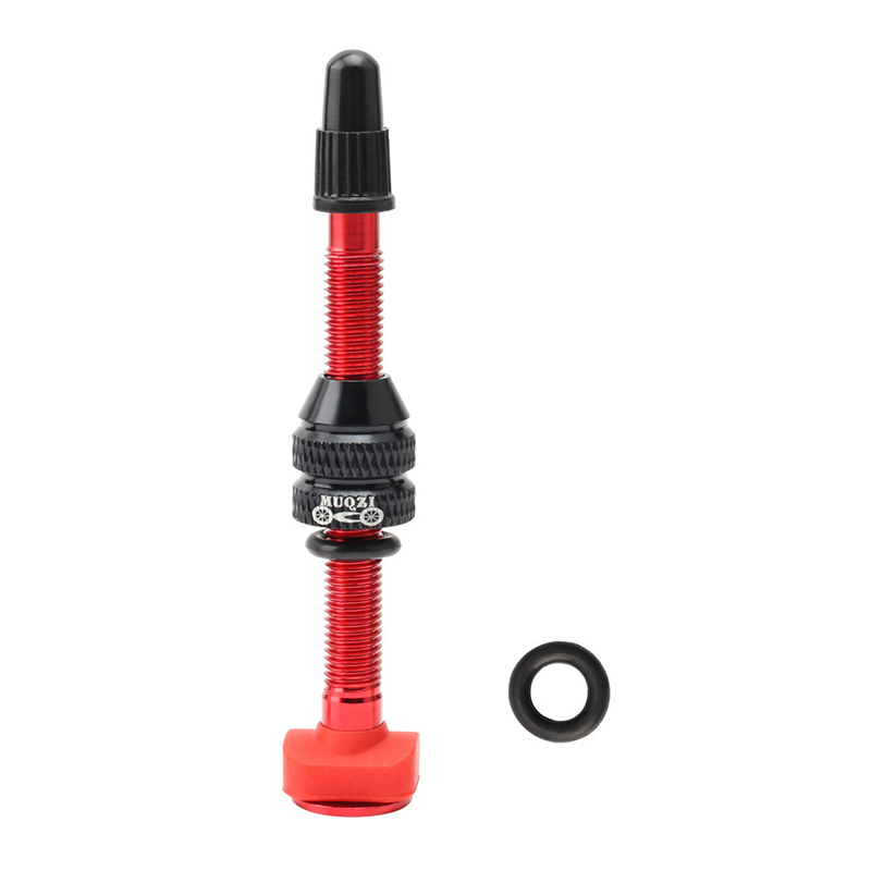 Pneumatico tubeless con valvol - Mountain Biking In French recensione e prezzo