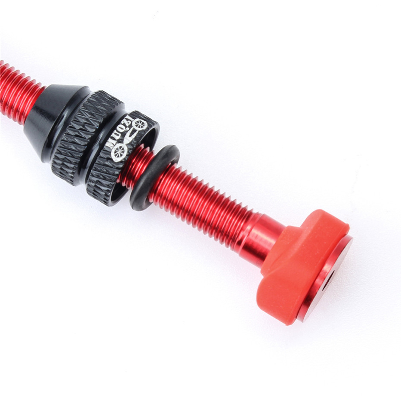 Pneumatico tubeless con valvol - Mountain Biking In French recensione e prezzo